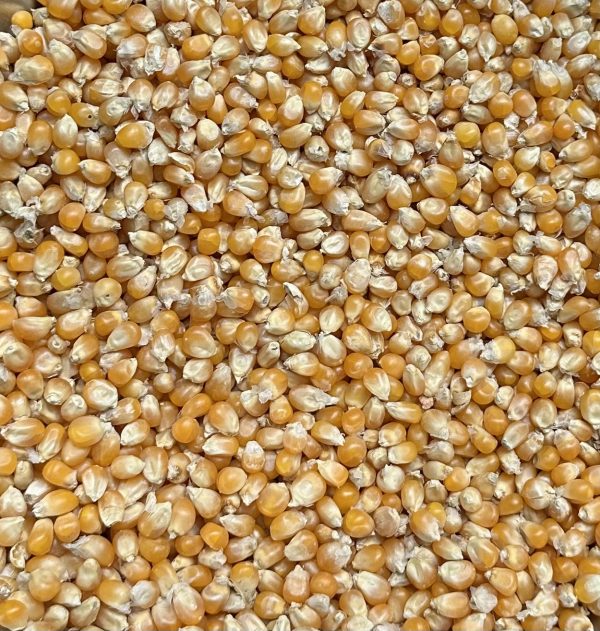 Popcorn Vutta
